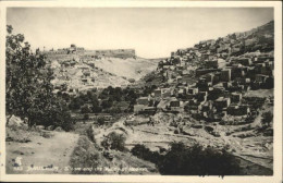 10956739 Jerusalem Yerushalayim Siloam Valley Hedrap  - Israel