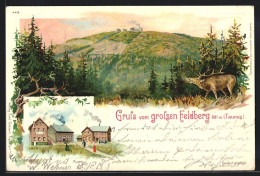 Lithographie Grosser Feldberg / Taunus, Hotel, Panorama  - Taunus
