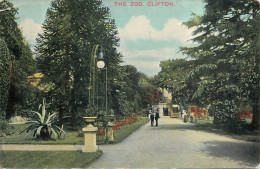 England Clifton - The Zoo - Bristol
