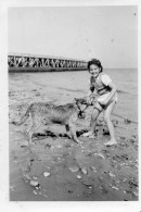 Photographie Vintage Photo Snapshot Chien Dog Enfant Fillette Grandcamp - Otros & Sin Clasificación