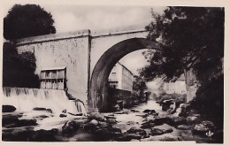 CHAMPAGNOLE               Le Pont Neuf - Champagnole