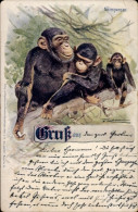 Artiste CPA Drei Schimpansen - Other & Unclassified