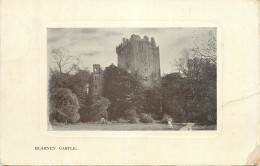 Ireland Blarney Castle Near Cork - Cork
