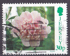 Jersey Marke Von 1995 O/used (A5-17) - Jersey