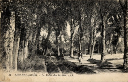CPA Sidi Bel Abbès Algerien, La Valle Des Jardins - Other & Unclassified