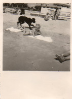 Photographie Vintage Photo Snapshot Antibes Chien Dog Plage Enfant Cabine Bain - Sonstige & Ohne Zuordnung