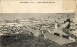 CPA Cancale Ille Et Vilaine, Les Parcs Aux Huitres, Leuchtturm - Other & Unclassified