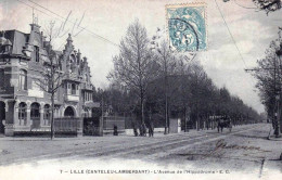 59 - Nord -  LILLE ( Canteleu - Lambersat )  - L Avenue De L Hippodrome - Lille