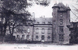 15 - Cantal -  MONTSALVY - Le Chateau - Other & Unclassified