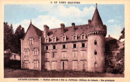 81 - Tarn -  LACAUNE  Les BAINS - Chateau De Calmels - Vue Principale - Sonstige & Ohne Zuordnung