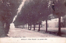 79 - Deux Sevres -  MELLE - Place Bujault - La Grande Allée - Melle