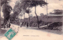 89 - Yonne - TRONCHOY - La Route De Paris - Autres & Non Classés