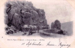 30 - Gard -  Route Du VIGNAN A L AIGOUAL -  Groupe De Boeufs - Autres & Non Classés