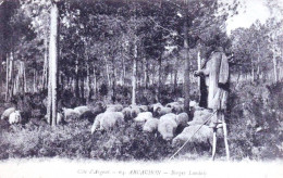 33 - Gironde -  ARCACHON - Berger Landais Et Ses Moutons - Arcachon