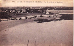 17 - Charente Maritime -  SAINT GEORGES  De DIDONNE -  Vue Generale A Vol D Oiseau - Saint-Georges-de-Didonne