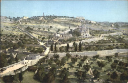 10915243 Jerusalem Yerushalayim Jerusalem Mount Olivet Oelberg Mont Oliviers *  - Israel