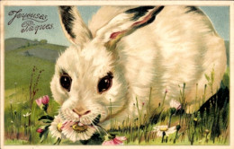 Gaufré Lithographie Glückwunsch Ostern, Hase Frisst Gänseblümchen - Pâques