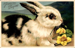 Gaufré Lithographie Glückwunsch Ostern, Kleiner Schwarz-weißer Hase - Pâques