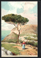 Cartolina Capri, Panorama  - Altri & Non Classificati