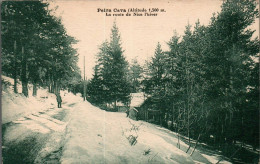 N°3027 W -cpa Peira Cava -la Route De Nice L'hiver- - Autres & Non Classés