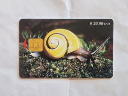 CUBA-(CU-ETE-0024)-Polimita-(Polymita Picta)-(83)-($20.00)-(0001615446)-used Card+1card Prepiad Free - Cuba