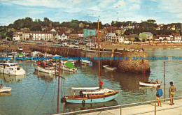 R069280 Saundersfoot. Pembrokeshire Wales. Dexter. 1966 - World