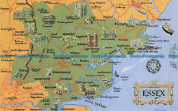 R068492 Essex. A Map. Salmon - World