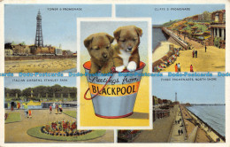 R069287 Greetings From Blackpool. Multi View. Dennis - World
