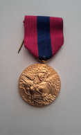 Médaille Militaire Défense Nationale - Francia