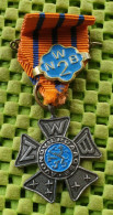Medaile   :  Avondvierdaagse NWB -  Original Foto  !!  Medallion  Dutch . - Otros & Sin Clasificación