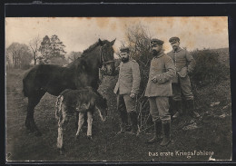 AK Das Erste Kriegsfohlen  - Pferde