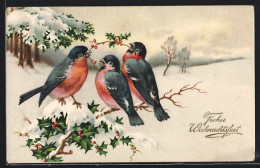 AK Drei Rotkehlchen Im Schnee  - Birds