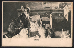 AK Katzen Mit Spiegel Vor Einer Anrichte  - Chats