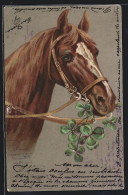 AK Pferd Frisst Glücksklee  - Caballos