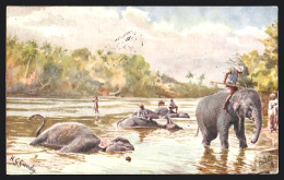 AK Arbeitselefanten Beim Bad In Einem Fluss  - Elefanten
