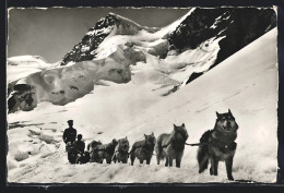 AK Jungfraujoch, Hundeschlitten Mit Polarhunden Vor Berggipfel  - Dogs