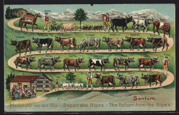 Lithographie Heimkehr Von Der Alp, Bauern Mit Rinderherde  - Vacas