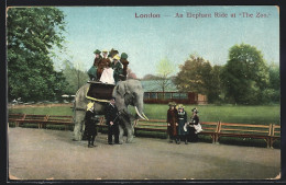 AK London, Zoo, Elefant Trägt Menschen Auf Dem Rücken, Au Elephant Ride At The Zoo  - Elefanti