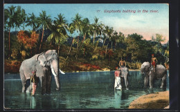 AK Elephants Bathing In The River  - Elefantes