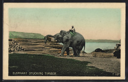 AK Elephant Stucking Timber  - Elefanten