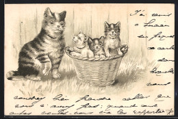 Lithographie Katze Mit Jungen In Körbchen  - Katzen