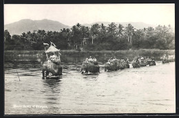 AK Chiang Mai, Elefanten Im Fluss  - Tailandia