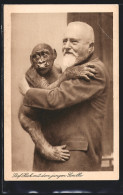 AK Berlin, Zoo, Prof. Heck Mit Jungem Gorilla  - Affen