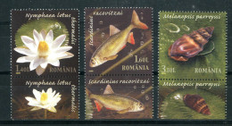 ROMANIA 2008** - Riserva Naturale Petea Creek.- 3 Val. MNH. - Unused Stamps
