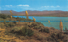 R068575 The Palmdale Reservoir. Chris Card - Monde