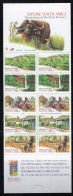 ZUID AFRIKA Yt. C41 MNH Postzegelboekje 1999 -1 - Markenheftchen