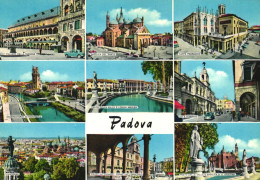 PADUA, VENETO, MULTIPLE VIEWS, ARCHITECTURE, CAR, FOUNTAIN, BRIDGE, BUS, STATUE, ITALY, POSTCARD - Padova (Padua)