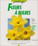 Bulbes à Fleurs - Other & Unclassified