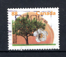 CANADA Yt. 1358° Gestempeld 1994 - Used Stamps