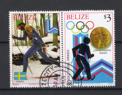 BELIZE Yt. 493° Gestempeld 1980 - Belice (1973-...)